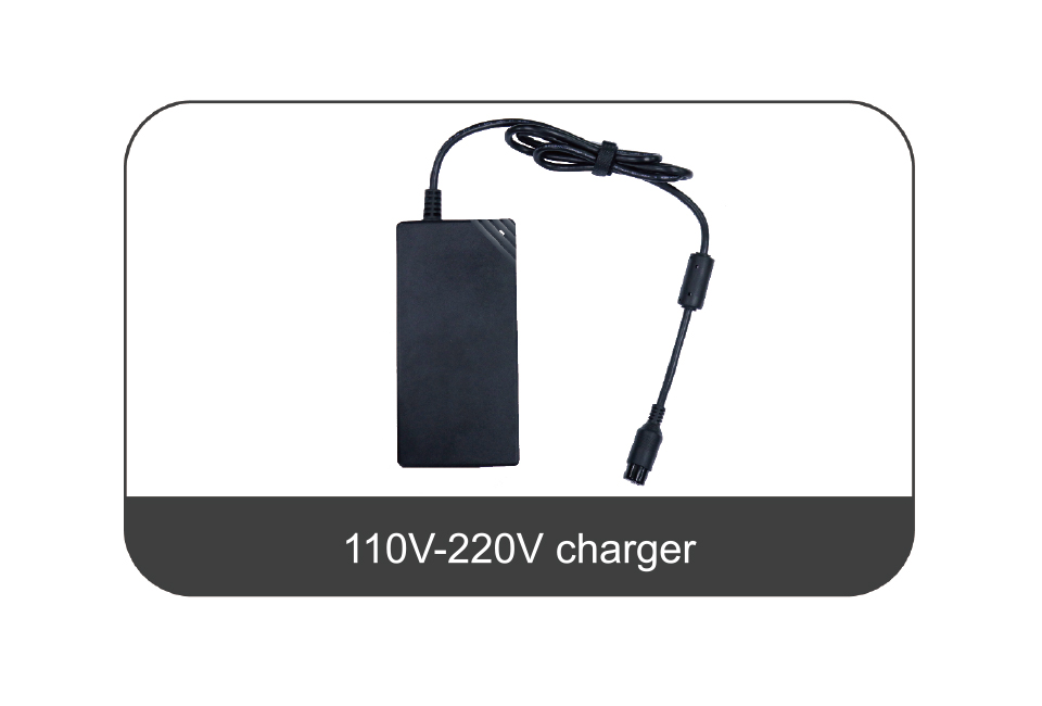 110V-220V Charger